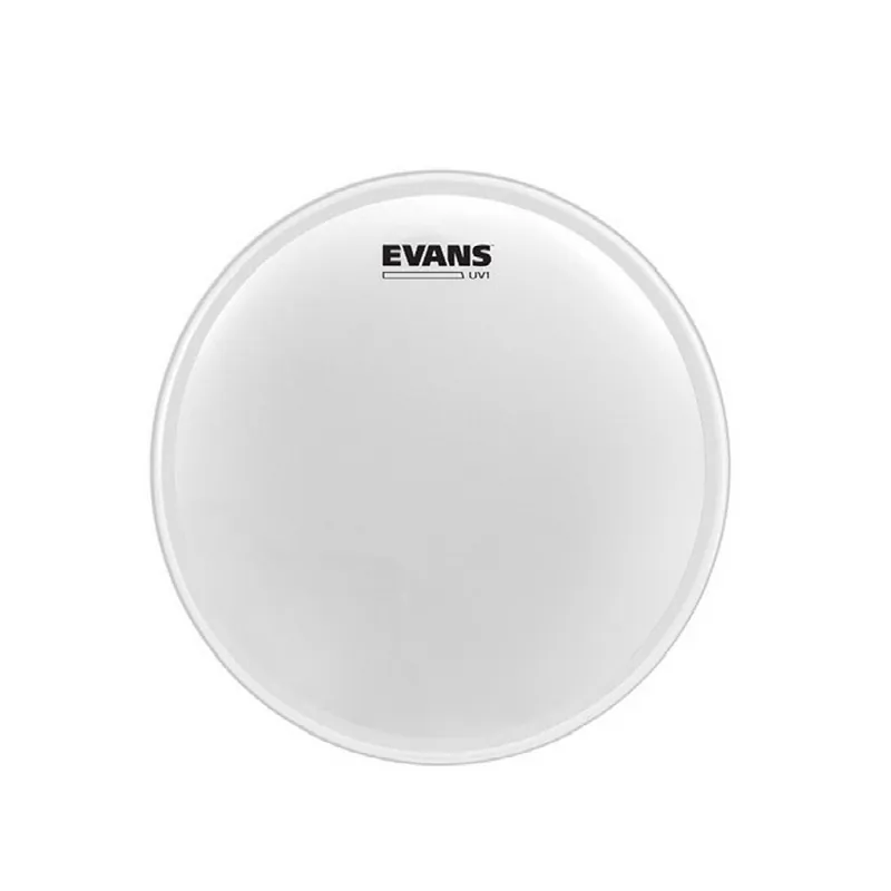 Popular Evans UV1 Series 14 inch Coated Drum Head (B14UV1)