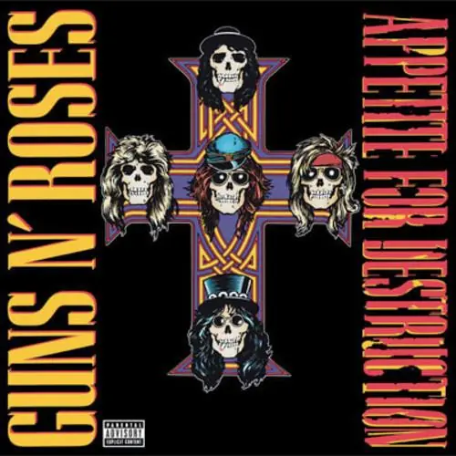 Appetite for Destruction - Vinyl LP 180 Gram Last Chance
