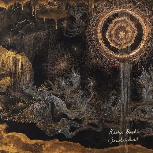 Sonderlust - Vinyl LP Markdown
