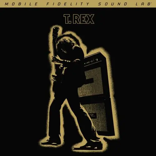 Electric Warrior - Vinyl LP 180 Gram Professional Grade
