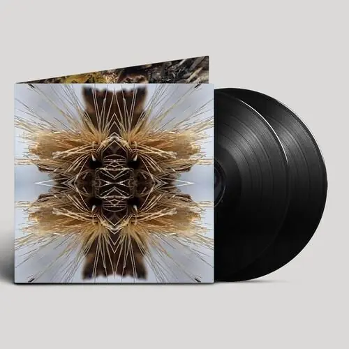 Direct From Manufacturer Sutra - Vinyl LP