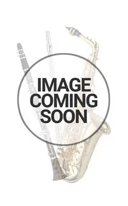 1st Trigger post - Getzen Cornet / Trumpet Handmade