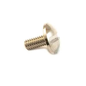 Secure Checkout Stop Arm Retaining Screw - Holton French Horn