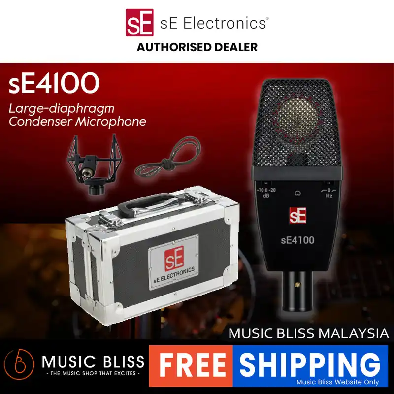 sE Electronics sE4100 Large-diaphragm Condenser Microphone Seasonal Sale