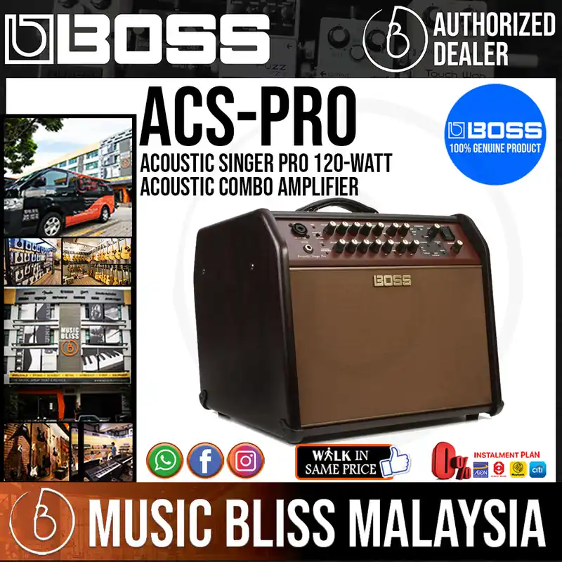 Last Chance Boss Acoustic Singer Pro 120-watt Acoustic Combo Amplifier