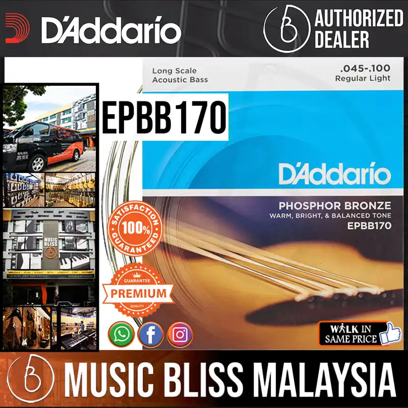 Today Only D'Addario EPBB170 Phosphor Bronze Acoustic Bass Strings - .045-.100
