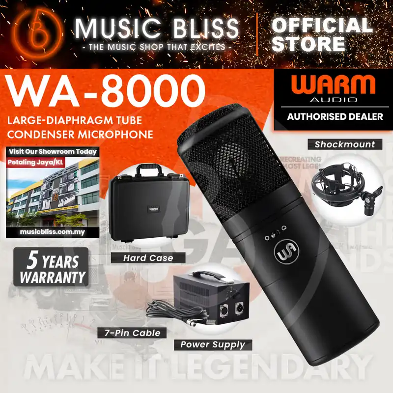 Best Seller Warm Audio WA-8000 Large-diaphragm Tube Condenser Microphone